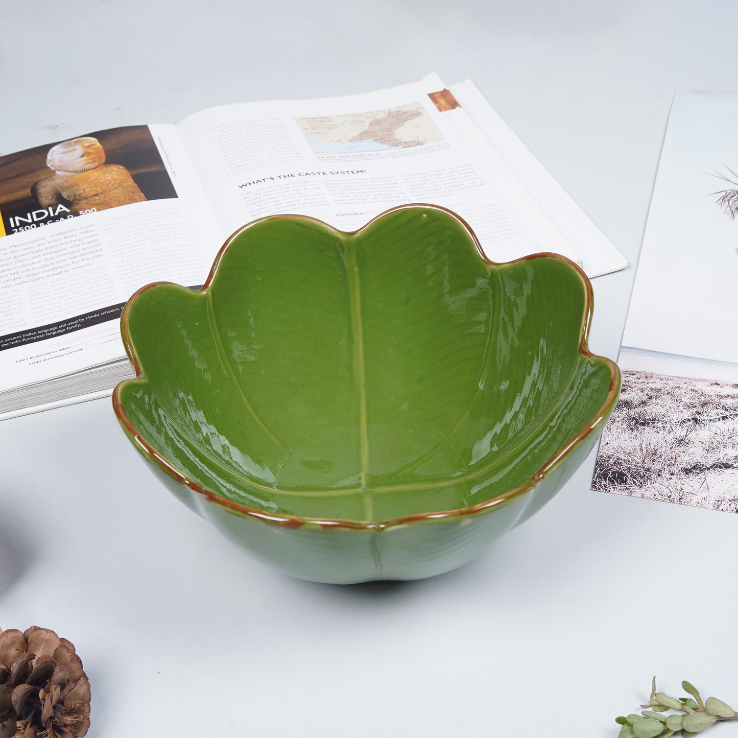 Extra Large Leaf Circle Bowl My Store