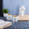 Puja with Good Luck Tree-stylish coffee mugs My Store
