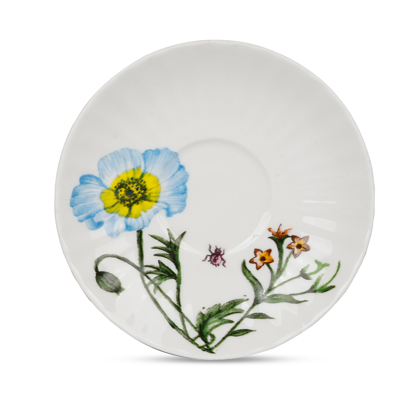 Dandy Lines Classic Summer Flora My Store