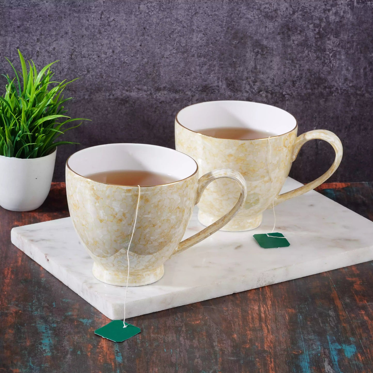 Noah Footed Mug in Marble Luster and Gold Line-stylish My Store