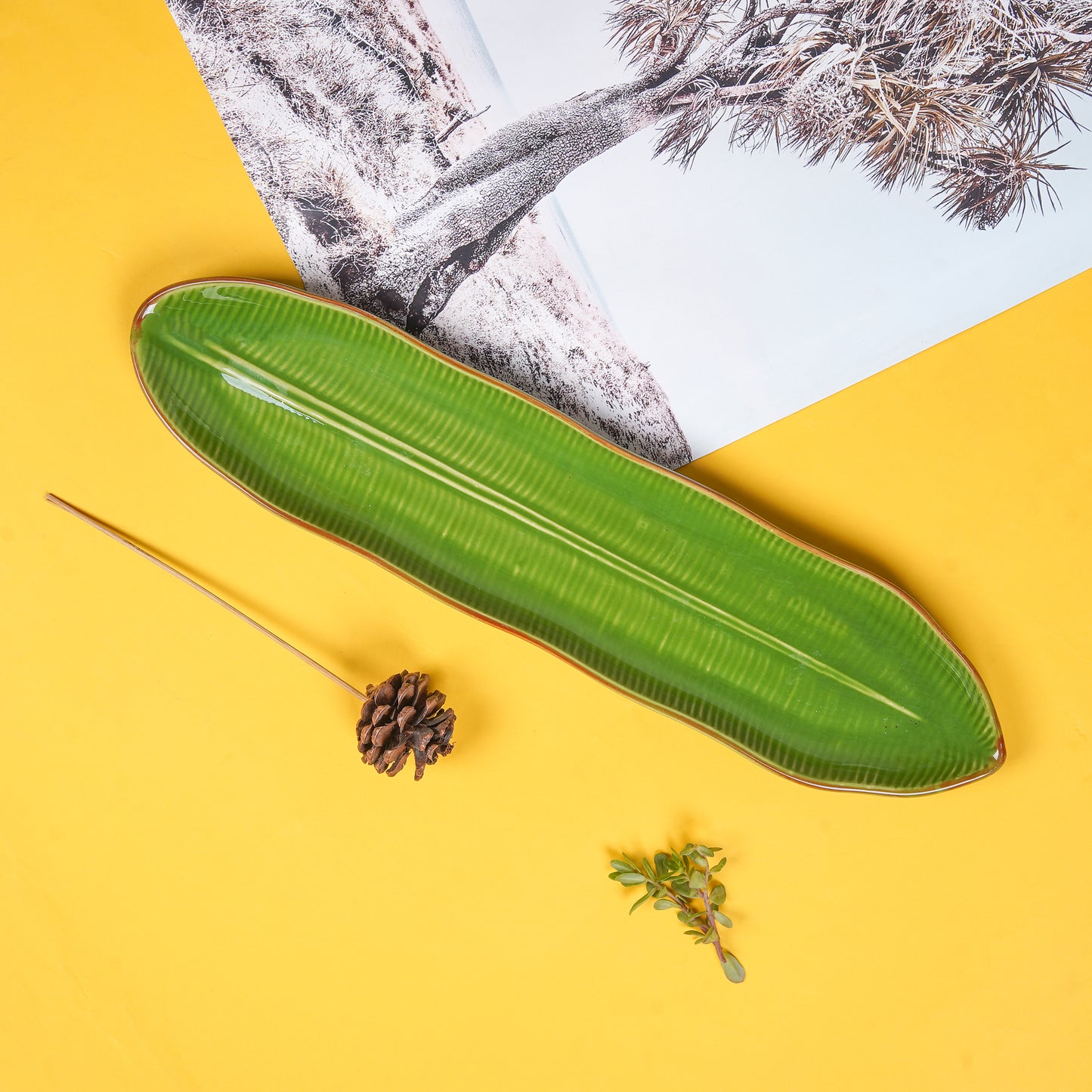 Long Fern Platter-Green leaf plates