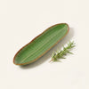 Medium Green Fern Platters (Pack of 2, Green) My Store