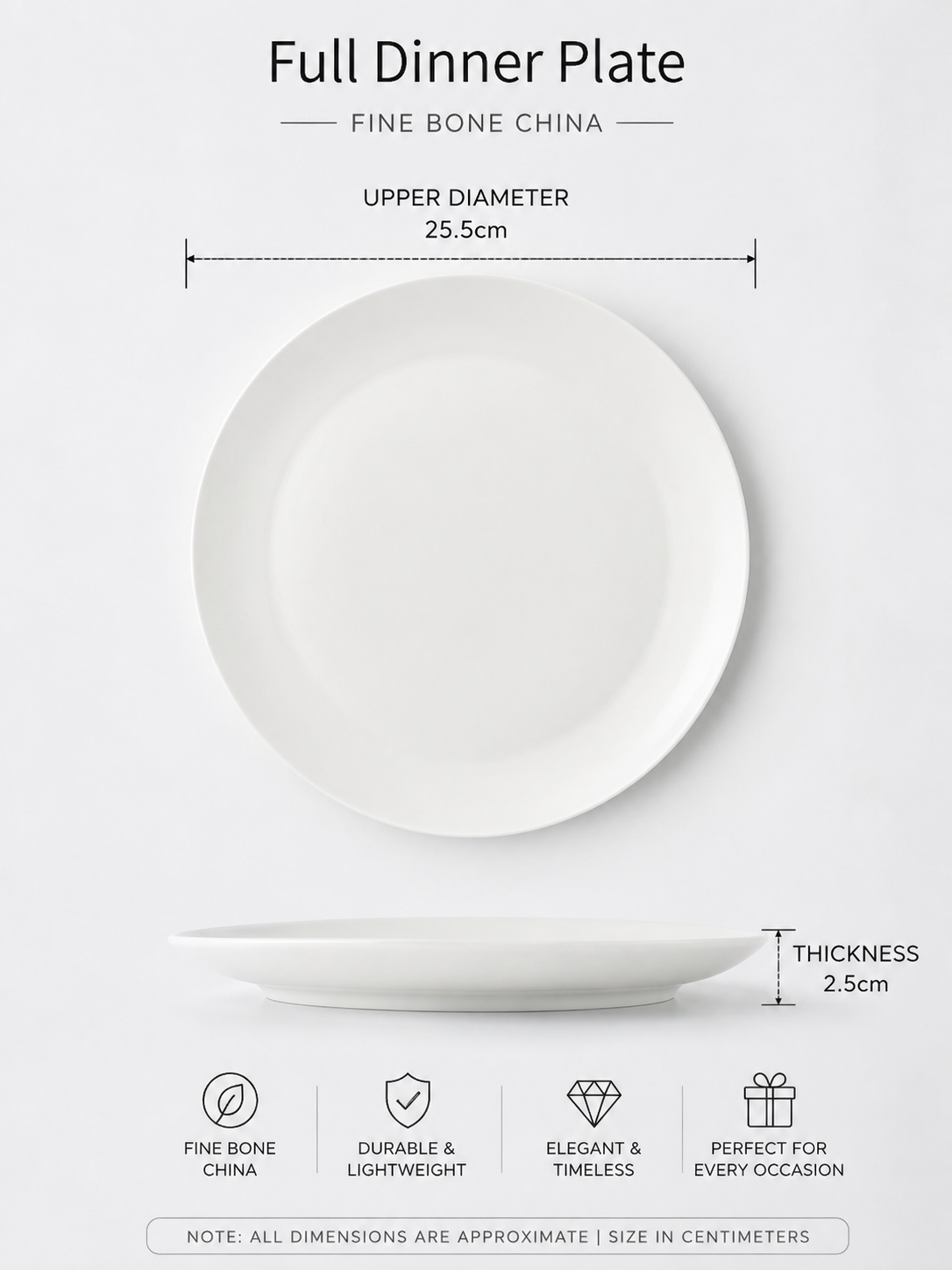 Kerala Floral Full Plates, Pack of 2 Dandy Lines by DATA