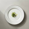 Premium Full Plates with Pure Platinum featuring glossy finish and refined platinum detailing