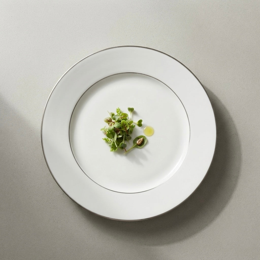 Premium Full Plates with Pure Platinum featuring glossy finish and refined platinum detailing