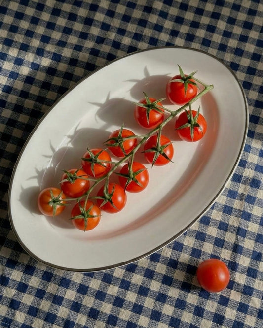 Platter with Pure Platinum, Pack of 1 (Fine Bone China) My Store